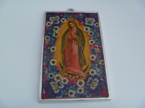 Lady of Guadalupe (5